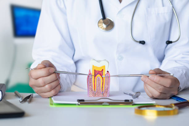 Best Emergency Dental Services for Seniors in Lake Holiday, IN
